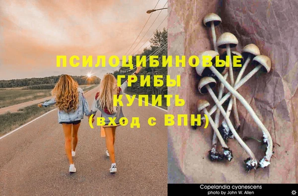 молекула духа Каменногорск