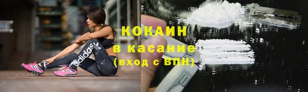 молекула духа Каменногорск