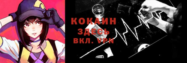 стаф Каменск-Шахтинский
