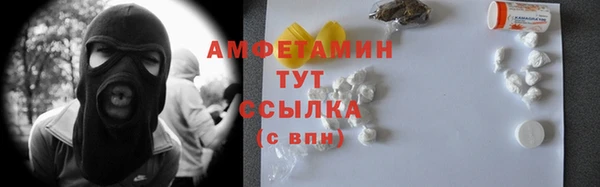 молекула духа Каменногорск
