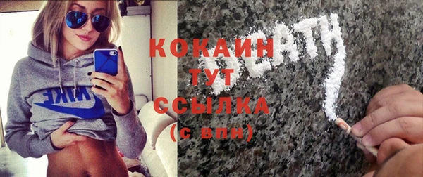 стаф Каменск-Шахтинский